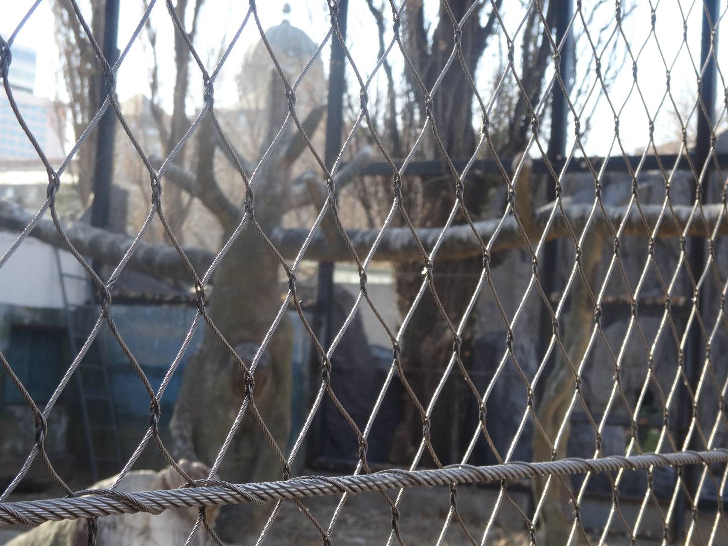 Knotted rope net — aviary and enclosure application